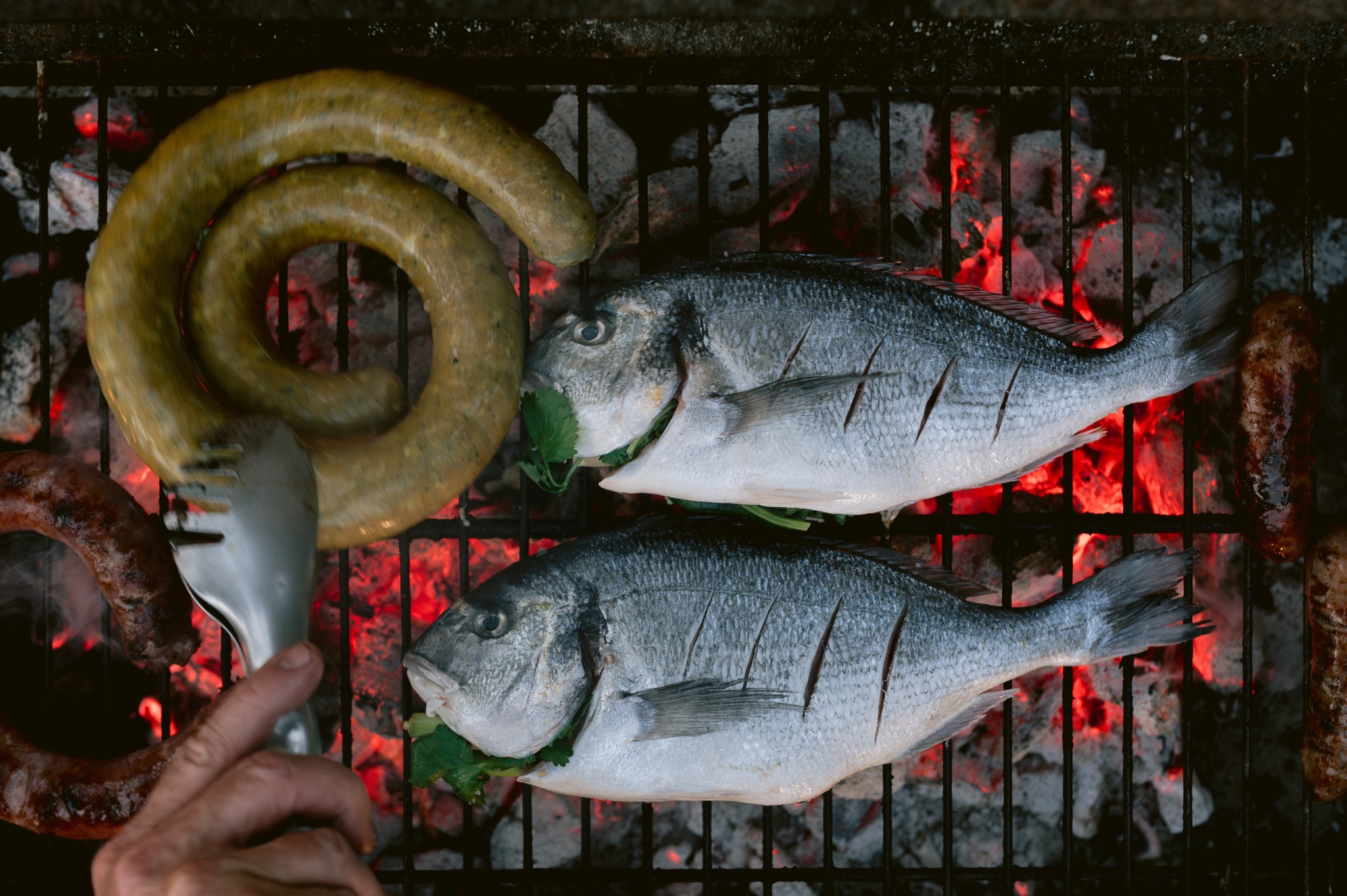 GOURMET BBQ